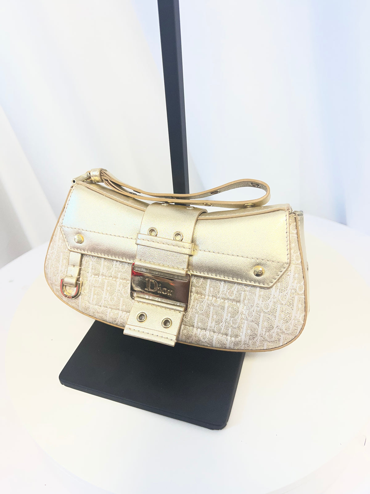 Christian Dior Street Chic Columbus Oblique Clutch - John Galliano Era