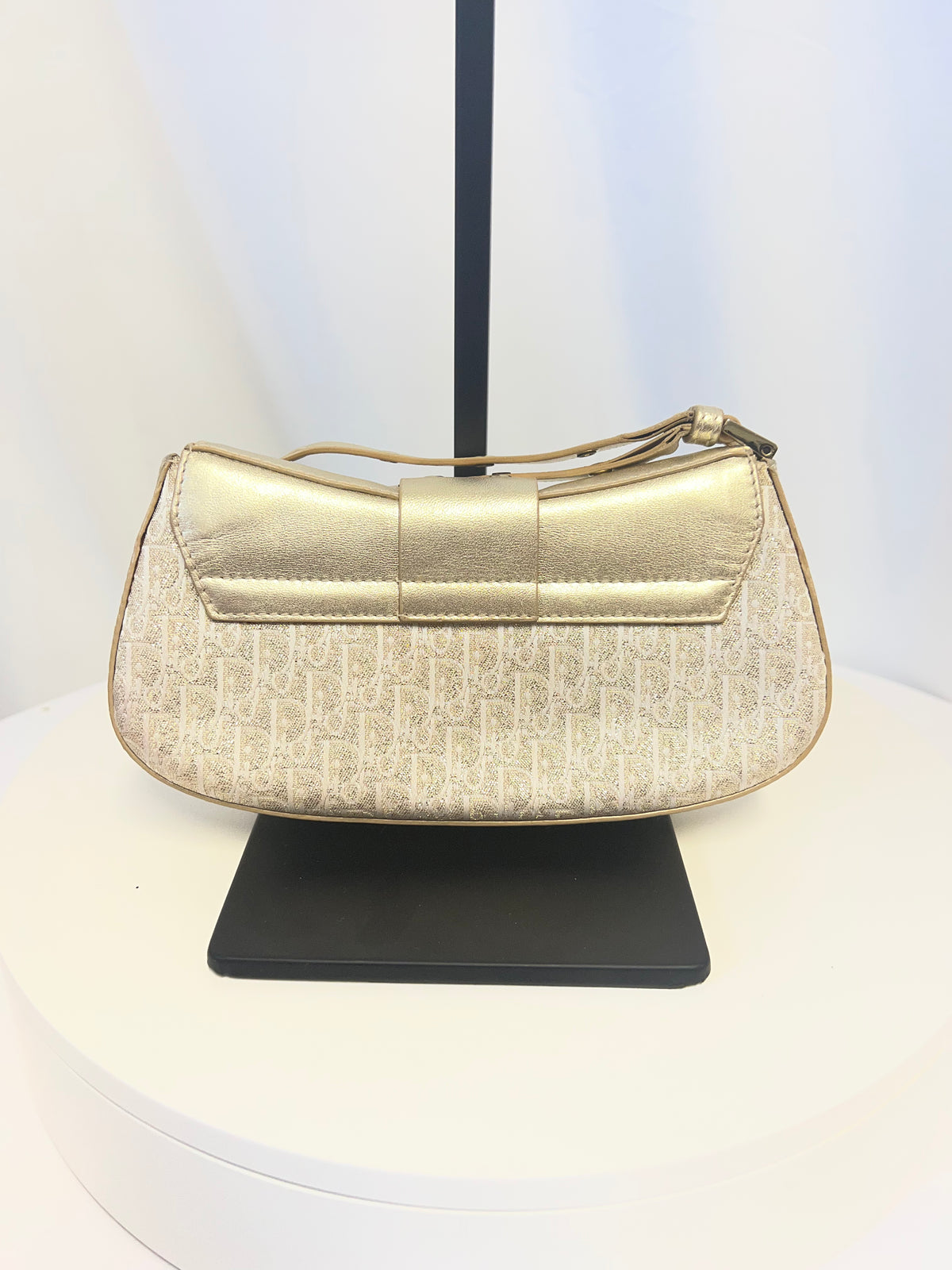 Christian Dior Street Chic Columbus Oblique Clutch - John Galliano Era