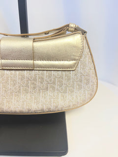 Christian Dior Street Chic Columbus Oblique Clutch - John Galliano Era