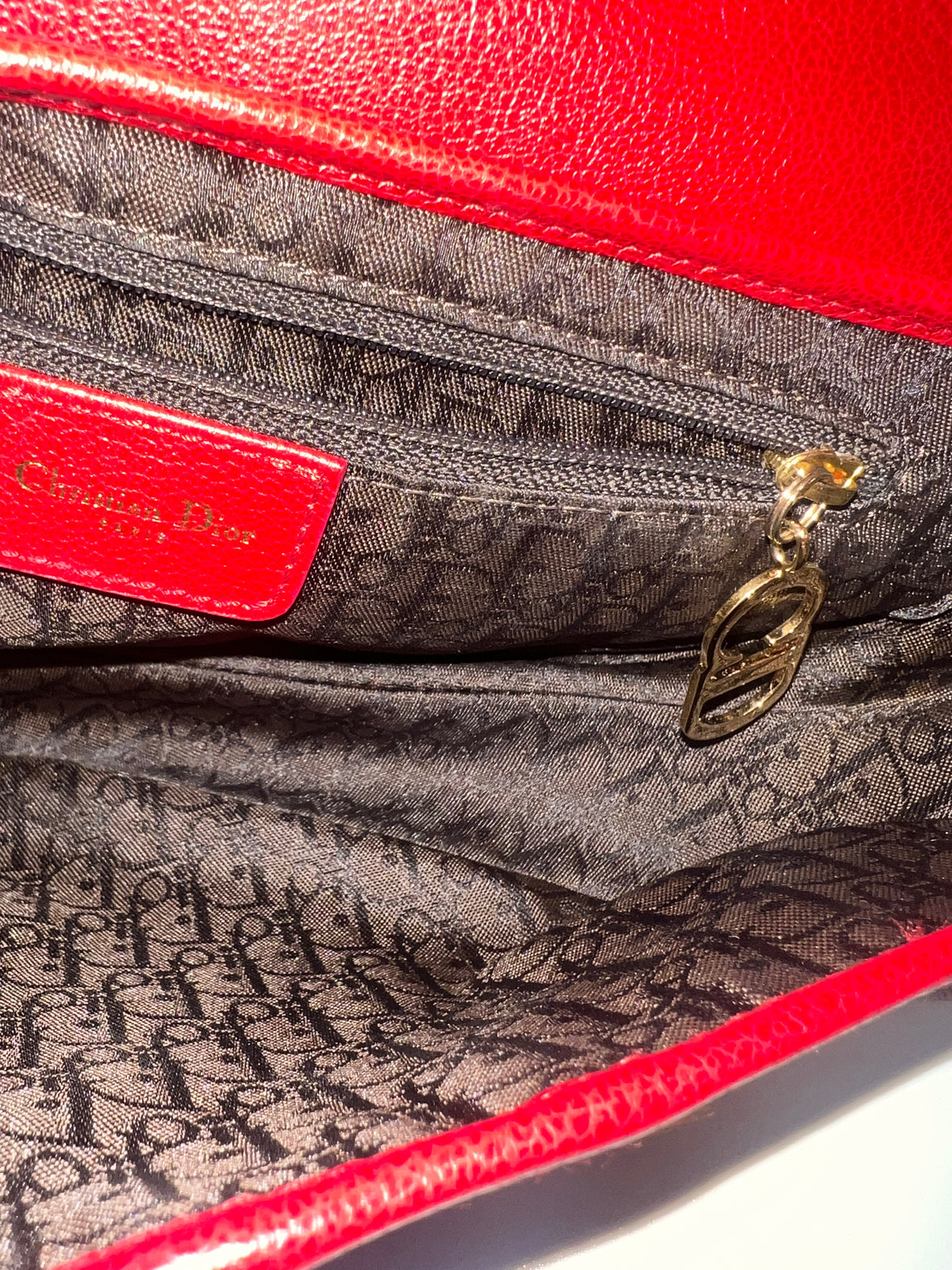 Christian Dior Pony Hair Leopard Saddle