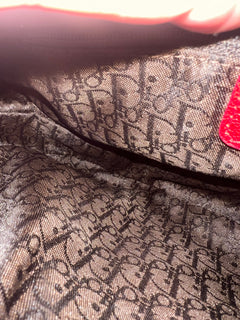 Christian Dior Pony Hair Leopard Saddle