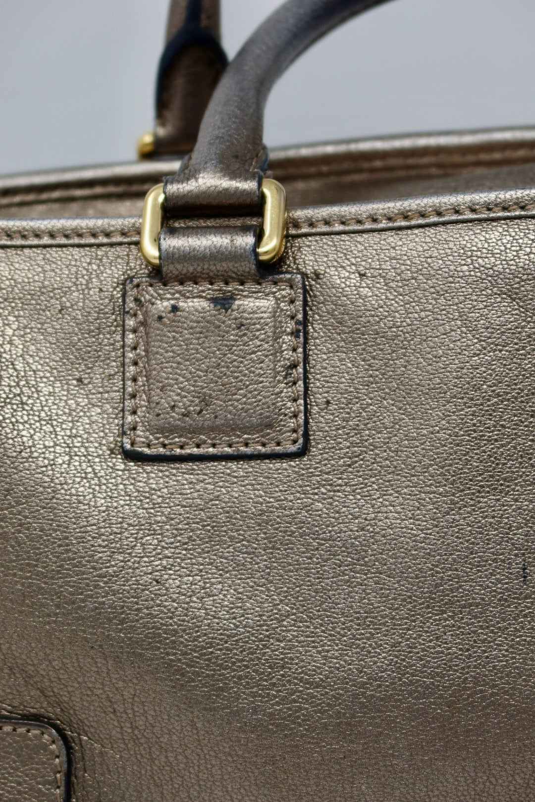 Loewe Anagram Leather Amazona Silver Bag