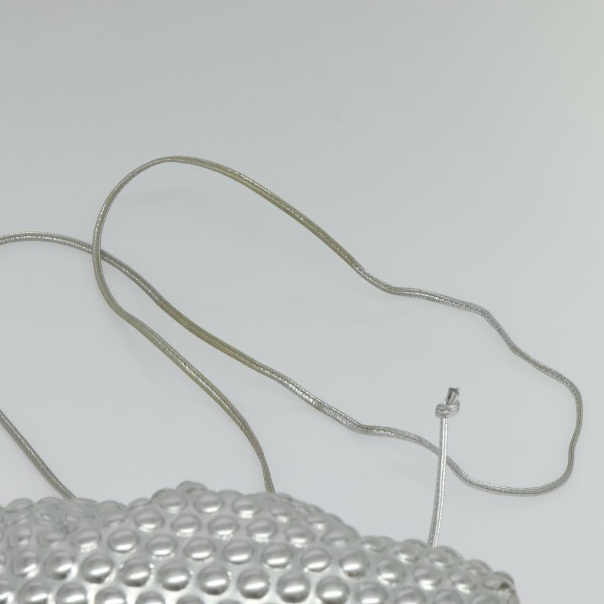 Bottega Veneta Silver