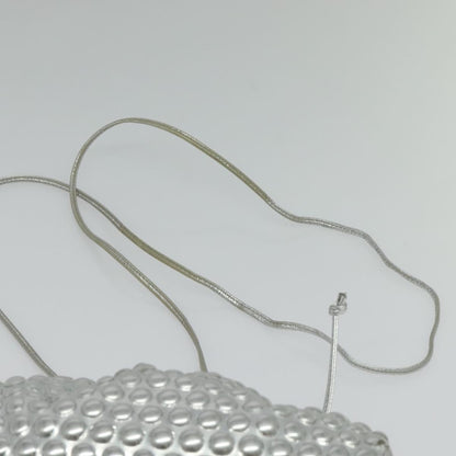 Bottega Veneta Silver