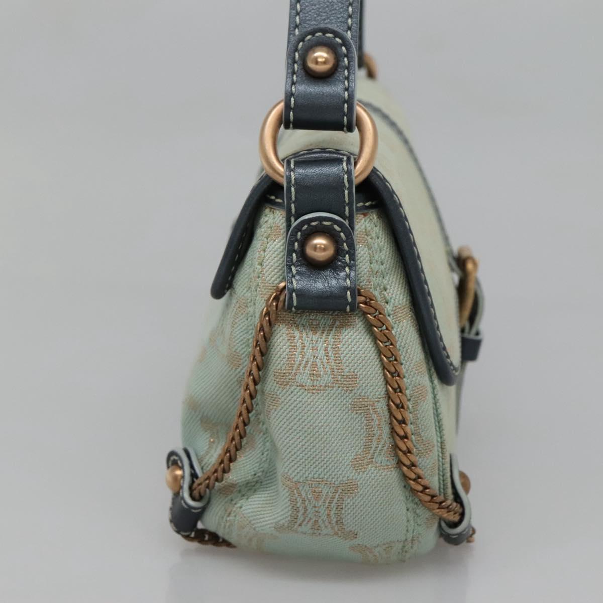 Celine Macadam Canvas Green