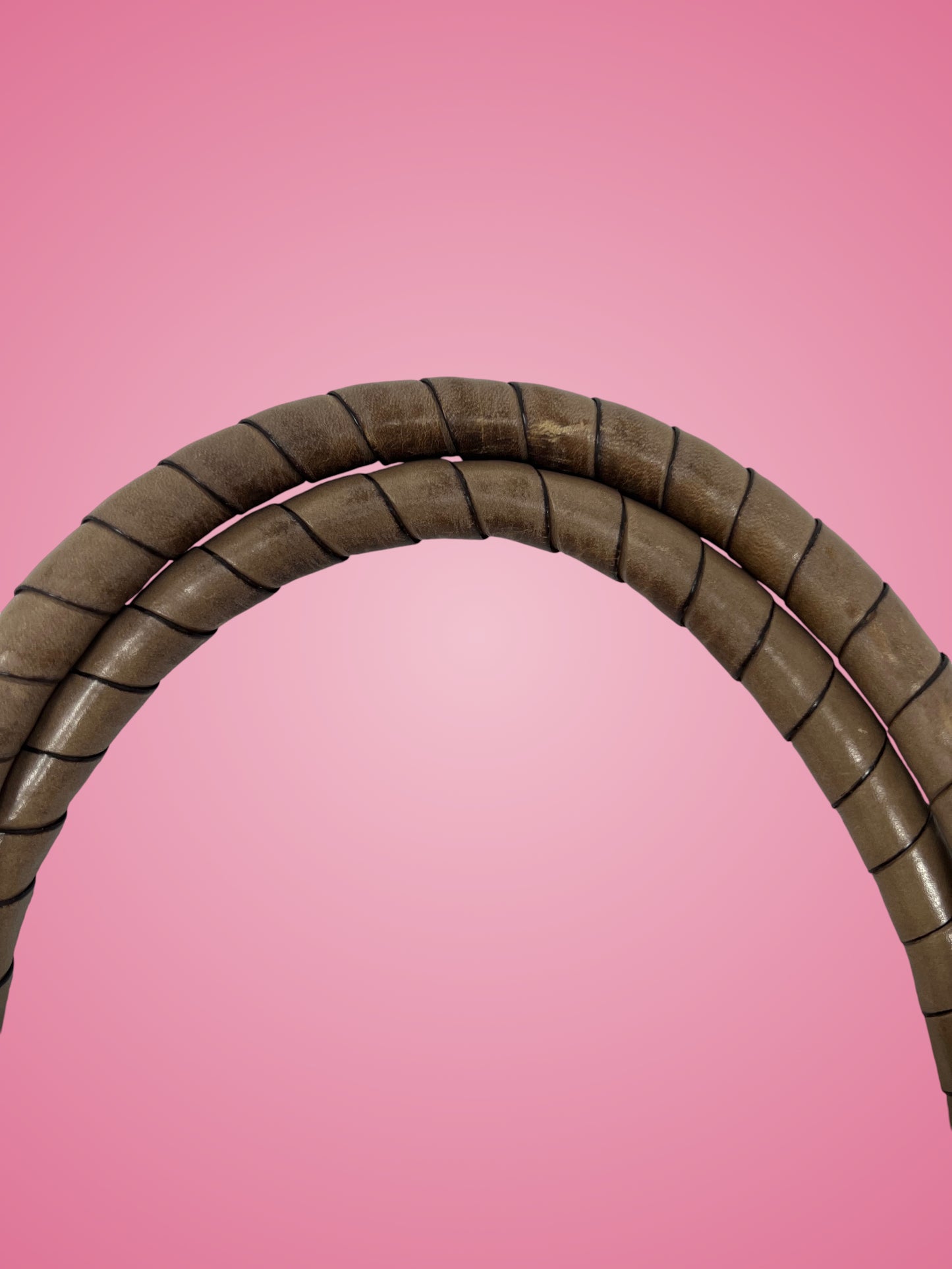 Chloe Brown Python Leather Shoulder Bag